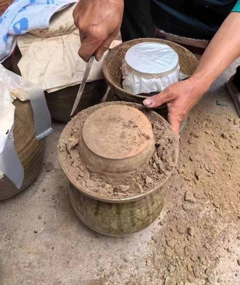 Clay jars sealed and buried in earth to ferment