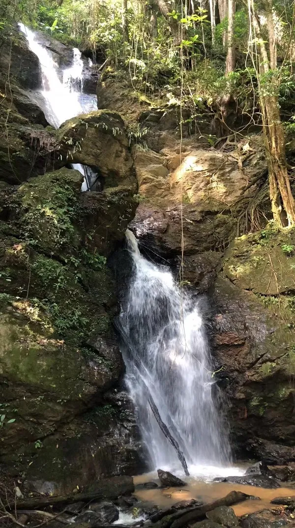 A forest waterfall on JingMai mountain