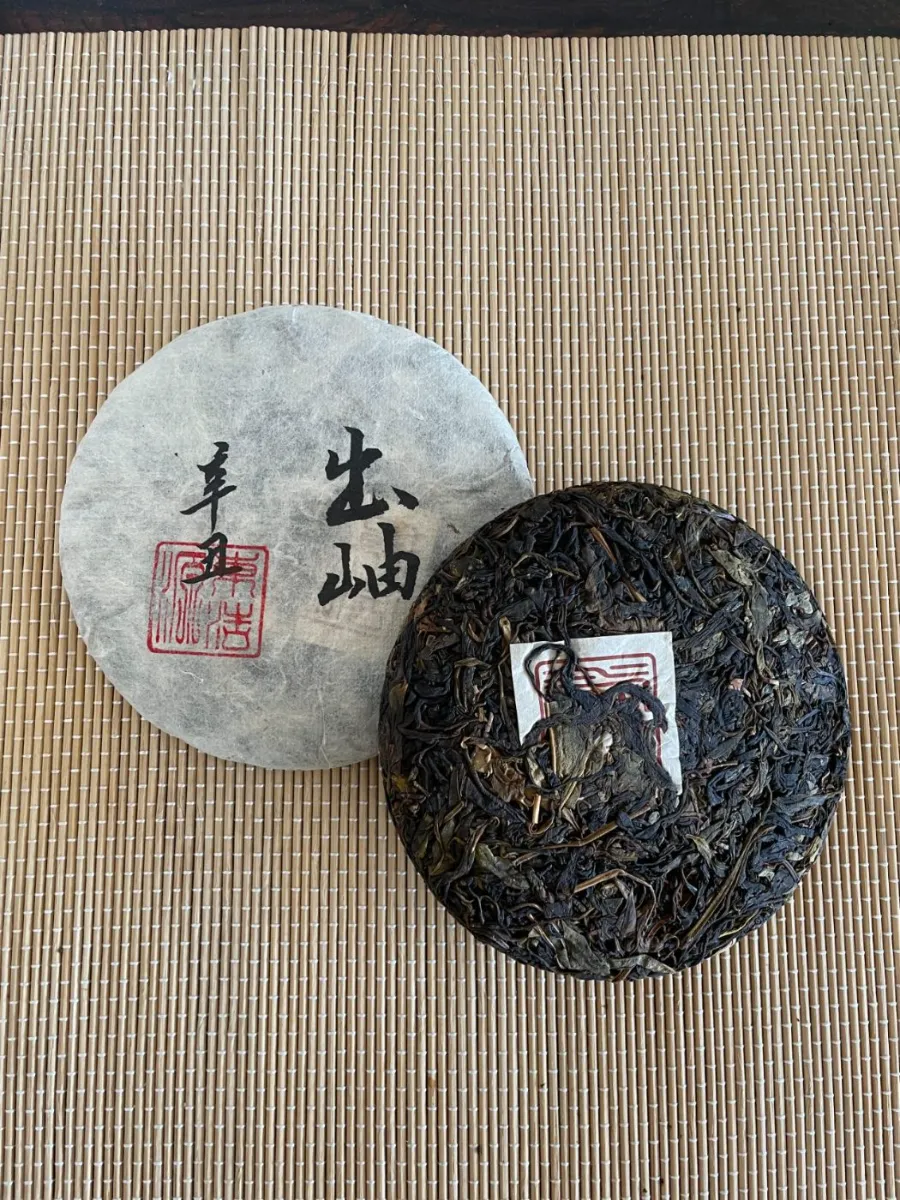 Wild Ancient Sheng