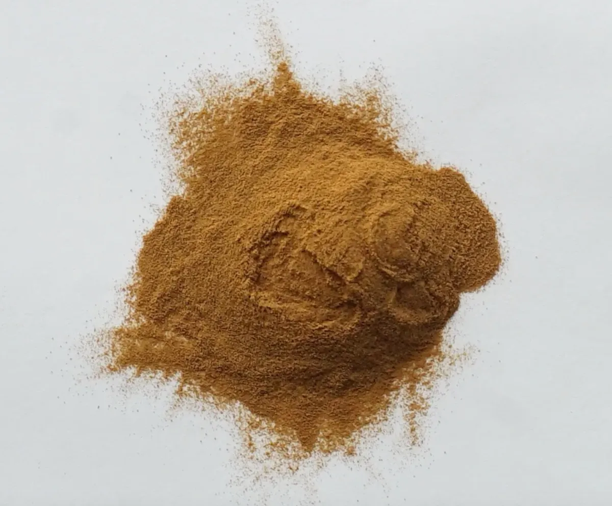 Cordyceps militaris extract powder