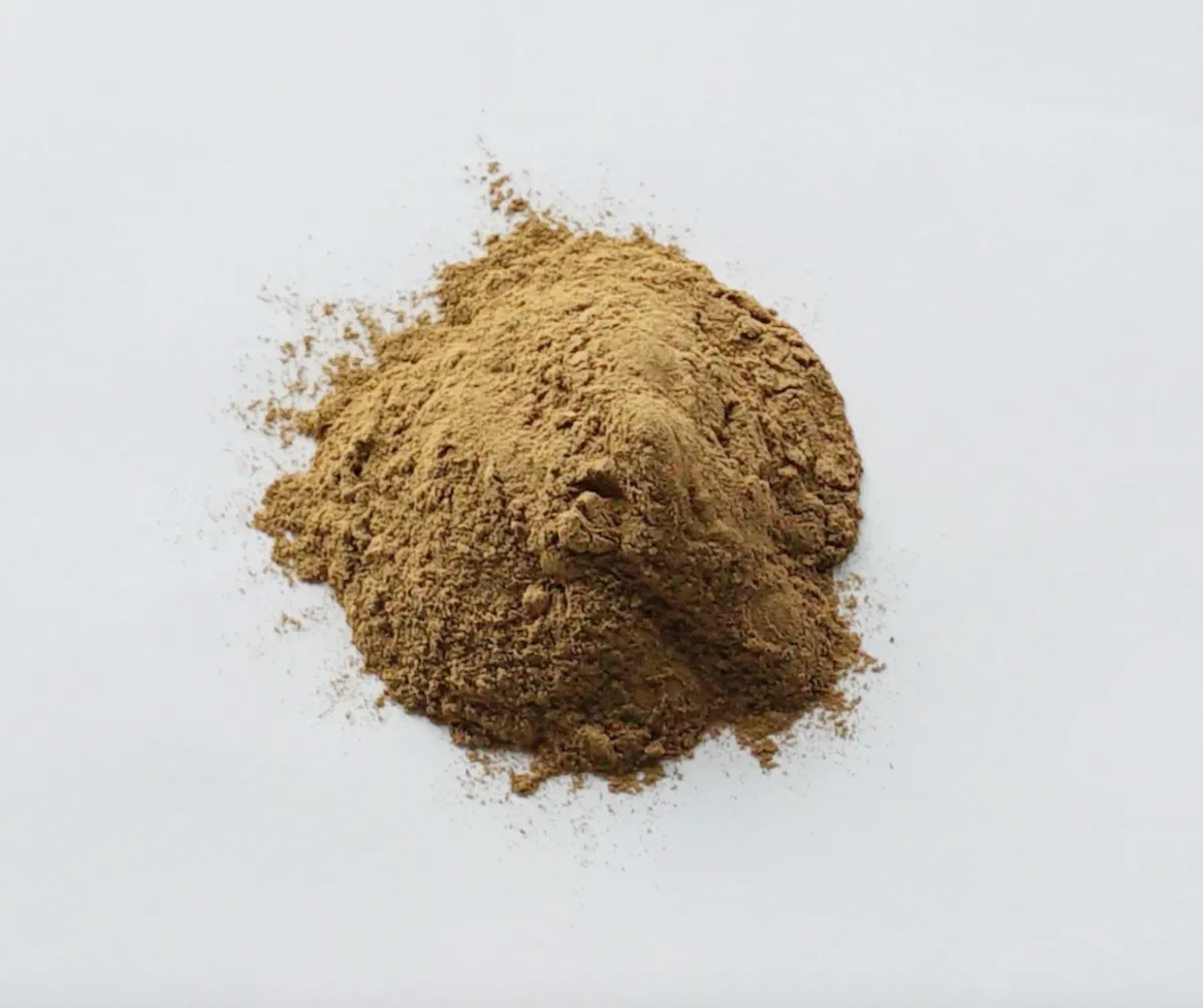 Lion's Mane extract powder