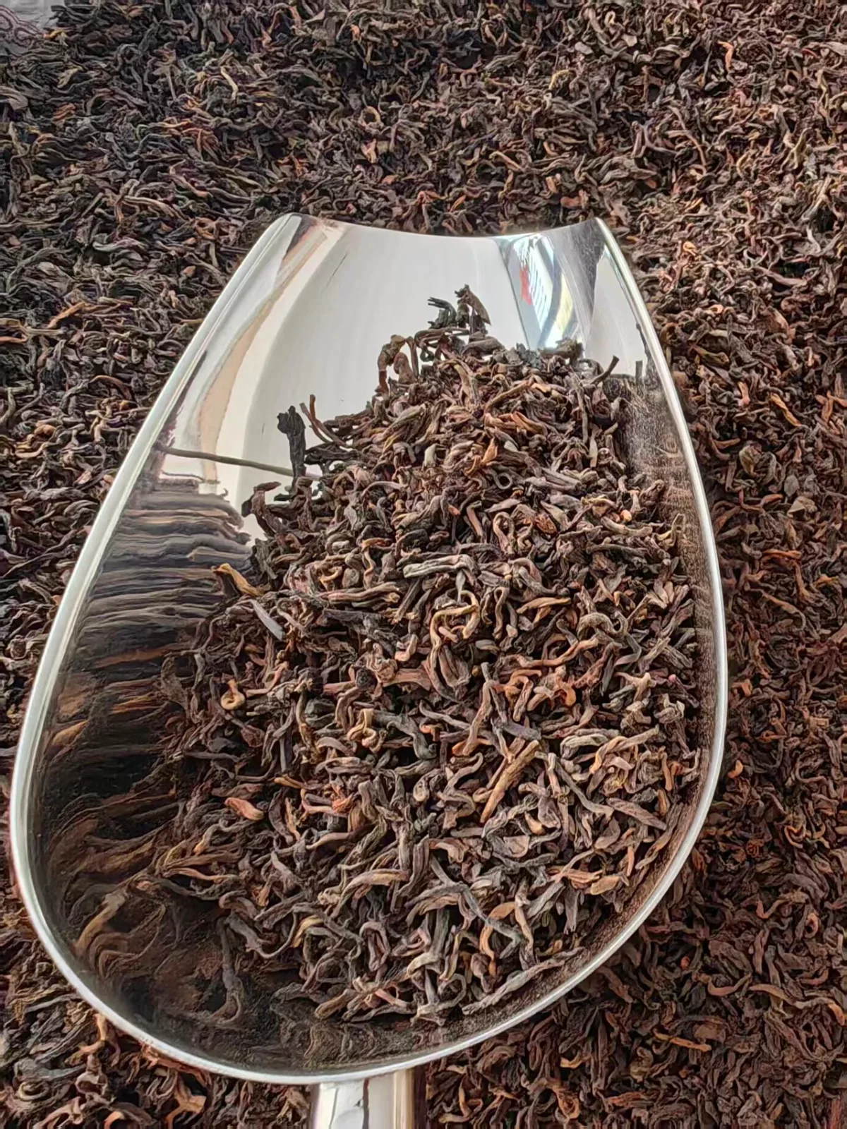 2015 Menghai Gong Ting, fine tribute-grade buds in a silver scoop