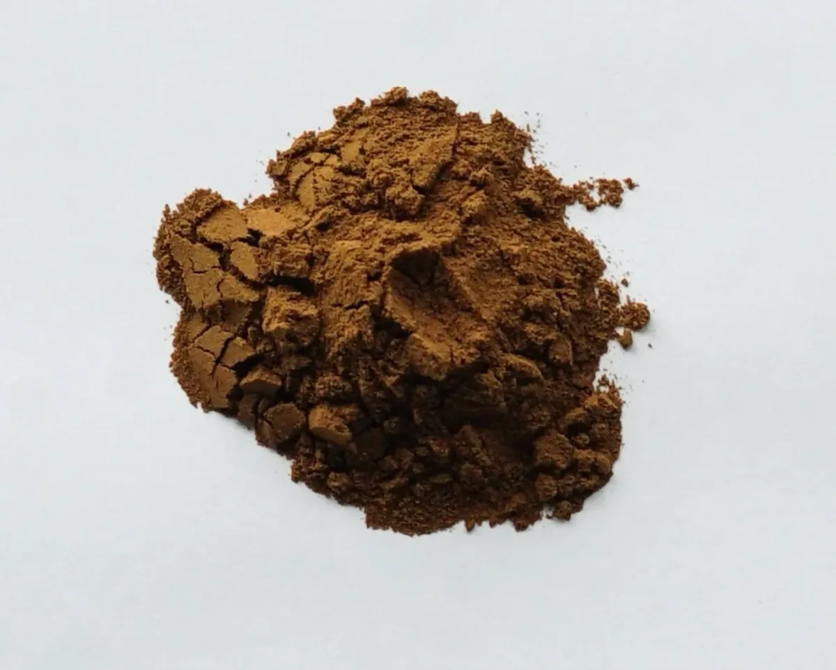 Reishi dual-extract powder