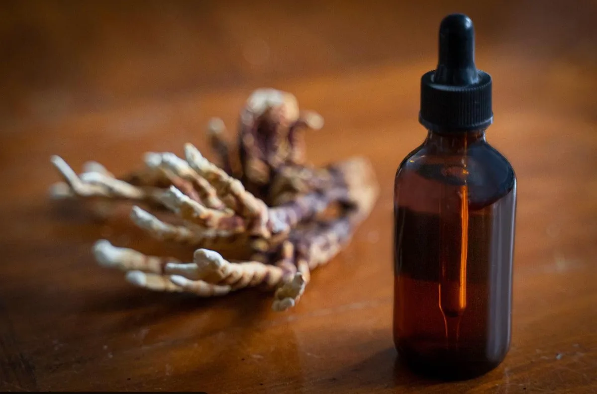 Wild Nepalese reishi tincture