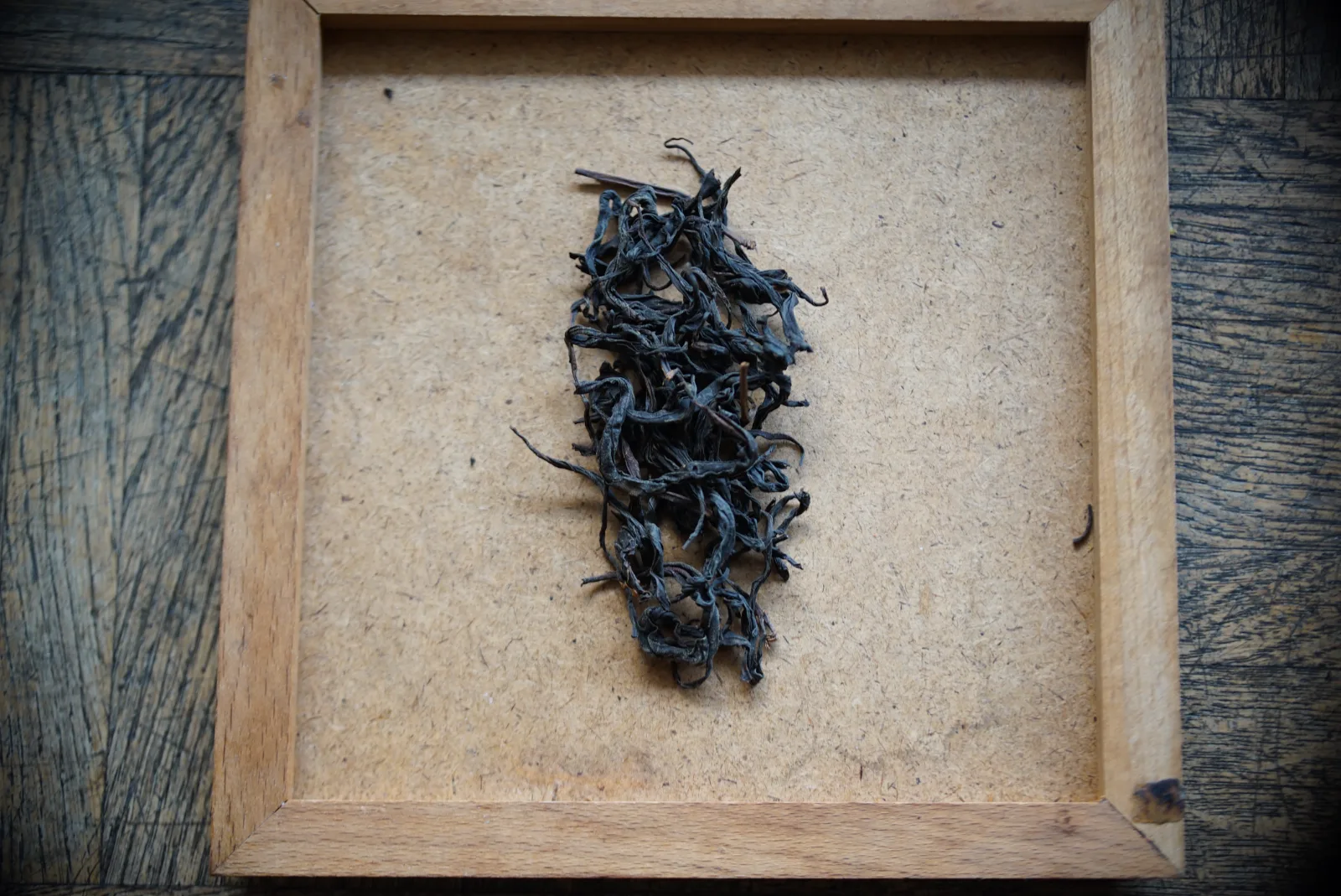 Wild Red, twisted dark leaves in a wooden tray