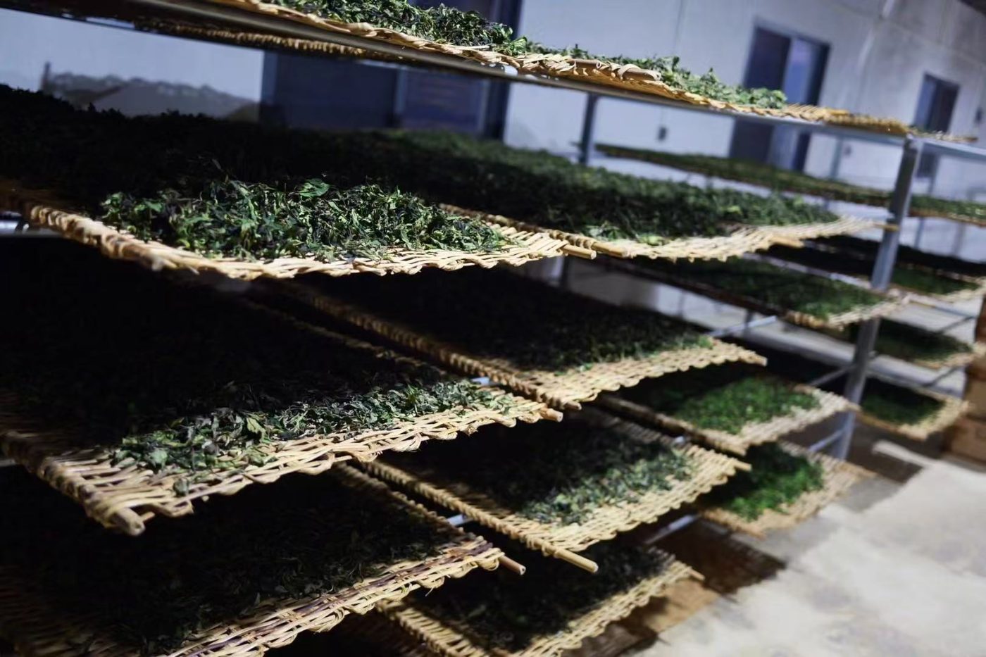 Withered leaves resting on stacked bamboo trays
