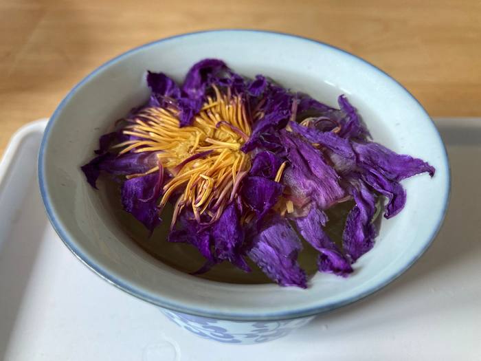 Purple lotus flower blooming in cup