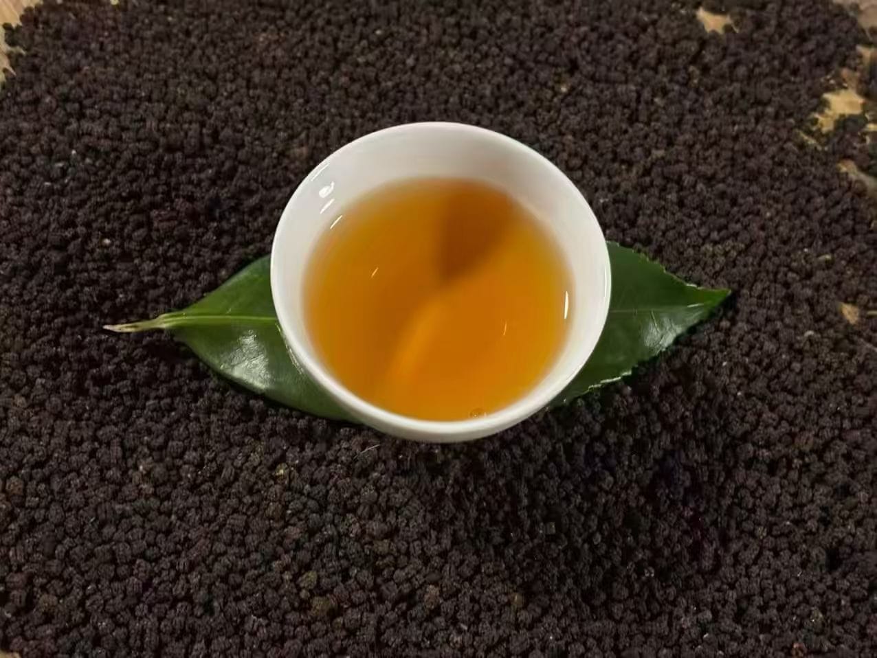 Brewed Caterpillar Tea, amber liquor in a white cup on a fresh tea leaf