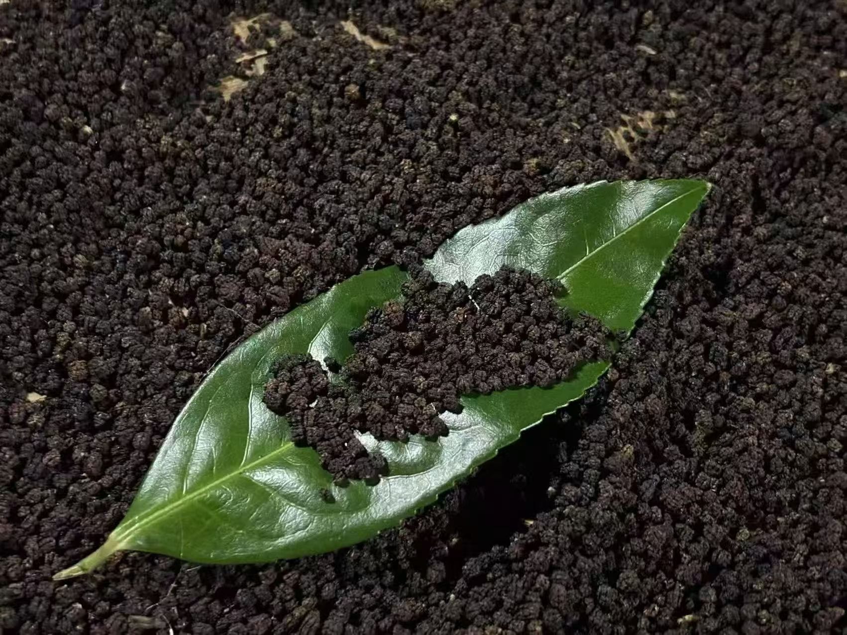 Caterpillar Tea pellets heaped on a fresh green tea leaf