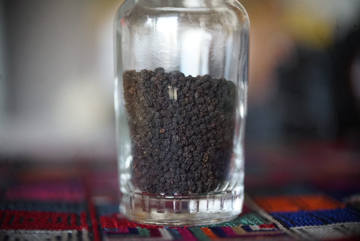 Caterpillar Fermented Tea