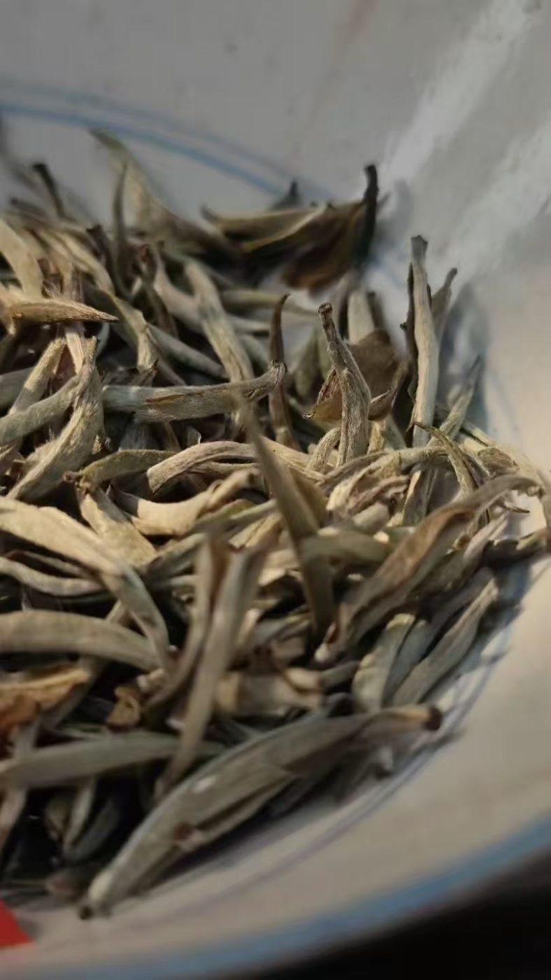Ming Tian Que She, silver bud tea