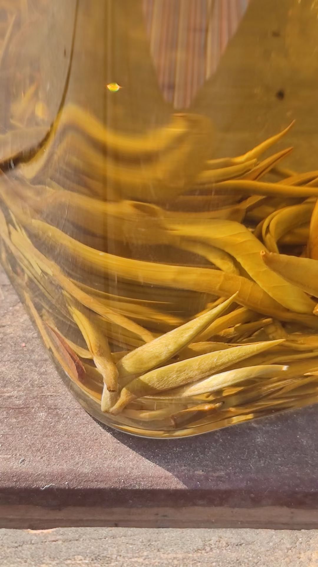 Ming Qian Que She buds steeping in a glass jar