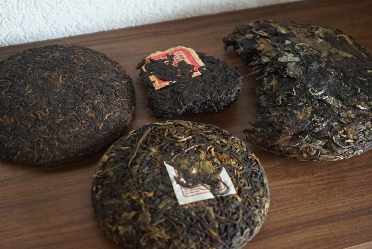 Four aged pu'erh cakes